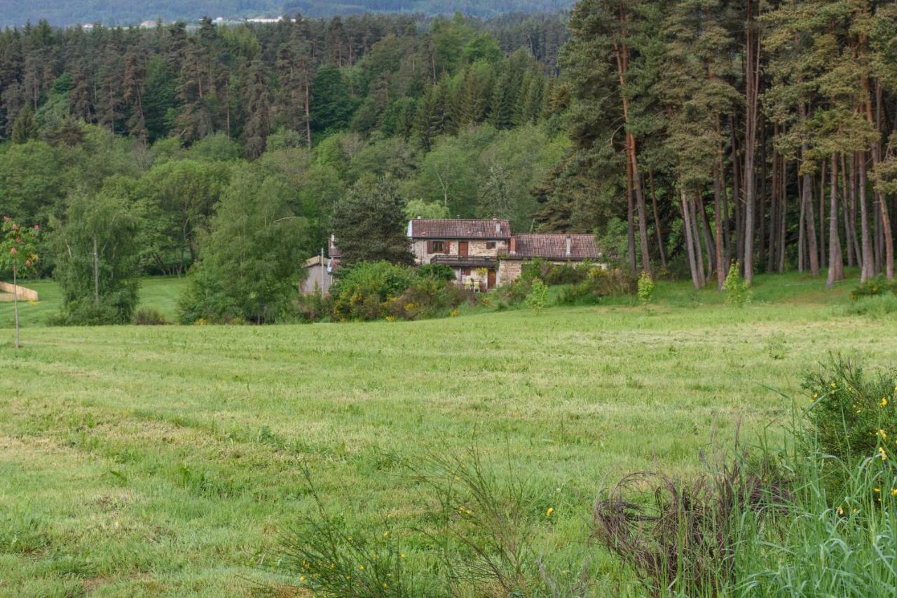 Moulin Des Comtes - Chambre Des Comtes Viverols Екстериор снимка